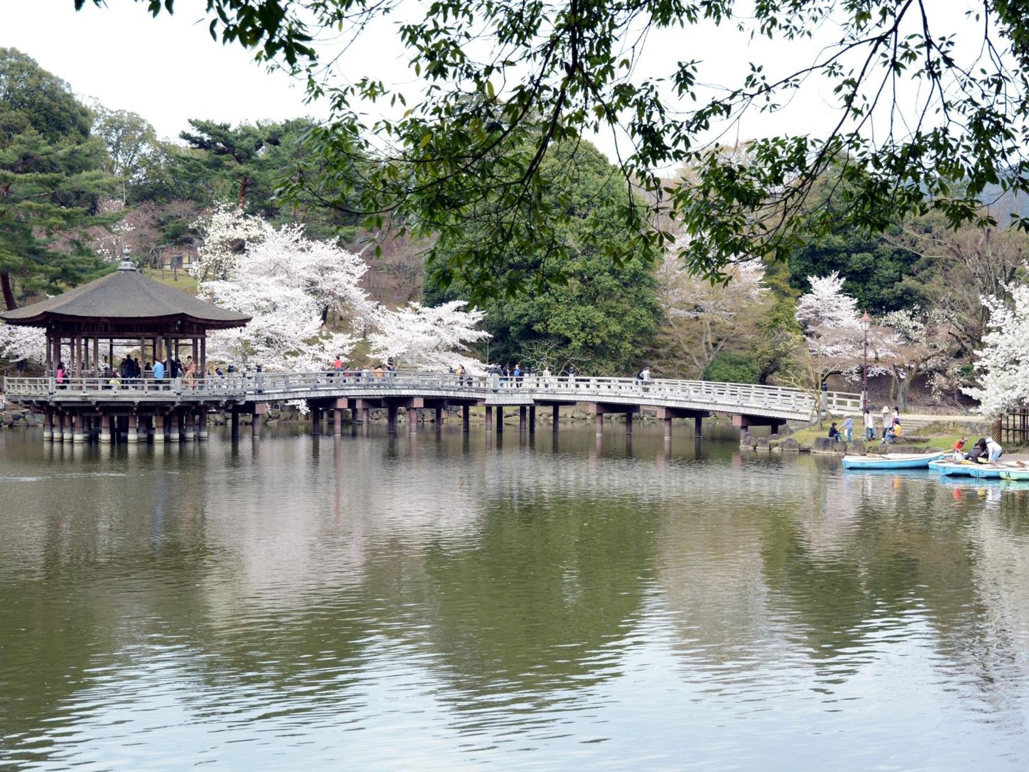 Nara - Hotel / Vacation STAY 47950 Exterior foto